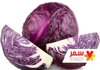 کلم نابود کننده سلول های بنیادی سرطانی کلم نابود کننده سلول های بنیادی سرطانی