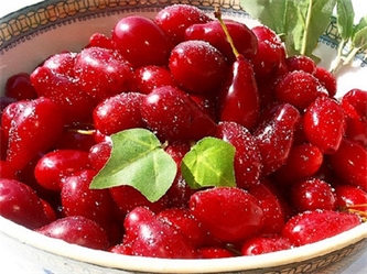 دو خاصیت از خواص زغال اخته دو خاصیت از خواص زغال اخته