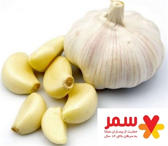 سیر؛ گیاهی ضد سرطان سیر؛ گیاهی ضد سرطان