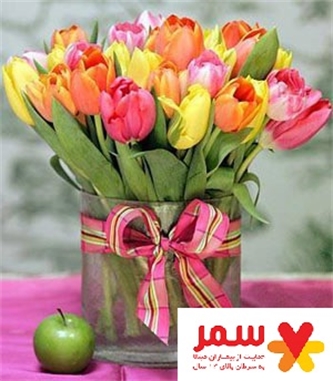 بیان جملات علیه خود ممنوع! بیان جملات علیه خود ممنوع!