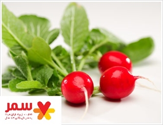 تربچه های نقلی پر خاصیت تربچه های نقلی پر خاصیت