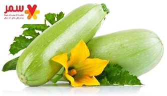 کدو را به صورت بخارپز مصرف کنيد کدو را به صورت بخارپز مصرف کنيد