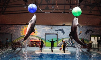 سمر و برگزاری اردوهای متنوع طی دو ماه گذشته سمر و برگزاری اردوهای متنوع طی دو ماه گذشته