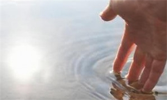ببخشید و فراموش کنید ببخشید و فراموش کنید