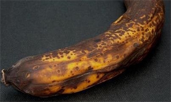 له شده این میوه خاصیت ضد سرطانی دارد له شده این میوه خاصیت ضد سرطانی دارد