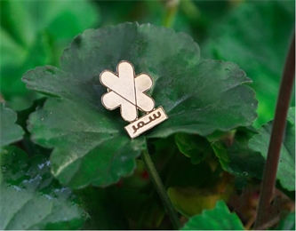 به کمپین بهار سمر بپیوندید به کمپین بهار سمر بپیوندید