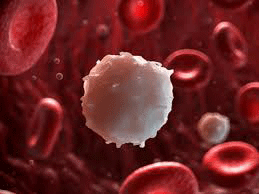 فراهم شدن امکان ساخت کم هزینه داروی ضدسرطان پستان در کشور فراهم شدن امکان ساخت کم هزینه داروی ضدسرطان پستان در کشور