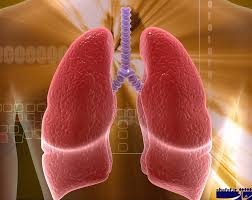 آشتی با ریه آشتی با ریه