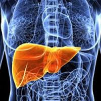 هپاتیت B و C علت 78 درصد سرطانهای کبد هپاتیت B و C علت 78 درصد سرطانهای کبد