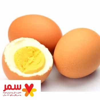 کاهش خطر بیماری های قلبی با مصرف تخم مرغ